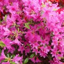 이마트 약국 이미지