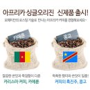아프리카 로스팅공장 이미지