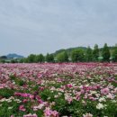 꽃과사랑 - 금산군 비호로 70 | 꽃과사랑