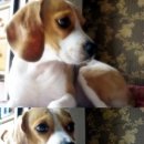 안녕하세요 이미지