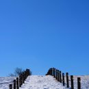 화정목장 이미지