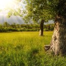 제24회 밀양공연예술축제 이미지