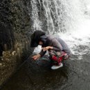 남천민박 이미지