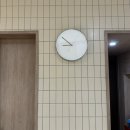 공간7 | 제주 공간7 카우치타입 내돈내산 방문 후기(구 코사이어티빌리지 제주)