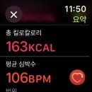 은니야 이미지