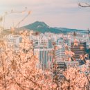 서울시립중랑노인전문요양원 | 서울요양원, 가장 믿을 수 있는 선택은?