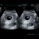 류여성의원 이미지