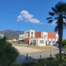 대덕초등학교유치원 이미지