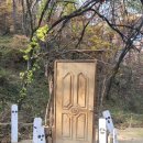 사과숲애