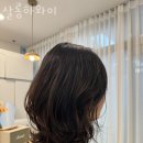 안양 관양동 미용실 살롱하와이 영업시간 가는길