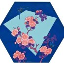 이돈 이미지