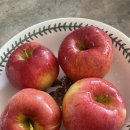 하늘샘농장 이미지