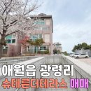 제주관광대학 부속유치원 | 애월읍 광령리 슈테른더테라스 복층형 쓰리룸 매매