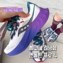 엔돌핀 | 써코니 엔돌핀 프로 4 후기 / 결국 환불 엔딩