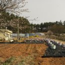 성찬농원 이미지