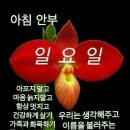 삶의 보탬이 되는 사자성어- 이미지