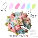 플로리도케이크 이미지