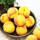 운성농장 이미지