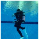 창원실내수영장 수영장 이미지