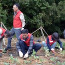 이충무공 어머니 사시던 곳 이미지