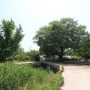 부산면사무소 이미지