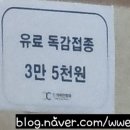 참이비인후과의원 이미지
