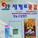 영동곶감축제 품평회 대상의 영동세계로곶감