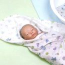 해피베이비 이미지