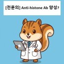 히스톤(HisTone) 네이버블로그