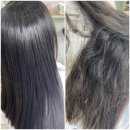 Seol Hair (설헤어)