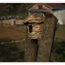 혁이네 농장 이미지