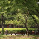 경상감영공원 이미지