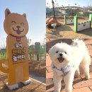 달서반려견놀이터 | 대구 달서구 반려견놀이터 추천, 달서반려견놀이터 이용 후기(요금·이용방법·주의사항)
