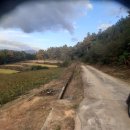 장수공인중개사사무소 이미지