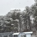 산울펜션 | 포천 가볼만한곳 산울터 애견동반펜션 편안한 휴식 후기