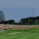 거제뷰컨트리클럽 이미지