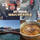 세븐일레븐 춘천행운점 | 당진 왜목마을 좌대 낚시 쭈꾸미 우럭 강성돔 채비 포인트 내돈내산 후기