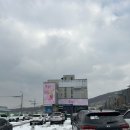 용인 신상 대형 키즈 카페 퐁퐁플라워 죽전센터