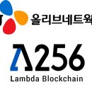 나무 네트웍스