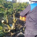 [워라벨 경제] 일손 부족 농어촌 숨통 트이나…숙련 외국인 고용 한도 30→50%로 확대 이미지