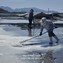 변산 마실길2코스 송포항 성천항 격포항 이미지