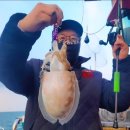 가자낚시 | 낚시 짱구 투호 11월 시즌 막바지 갑오징어 낚시 빅 사이즈 잡으러 가자 (스타텍 노컷 겨울낚시장갑 후기)