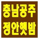 늘밤농원 쇼핑하우