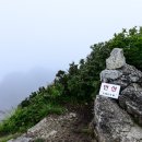 안*산 이미지
