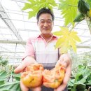 해오름영농조합법인 이미지