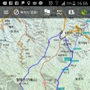 월매 Daum카페