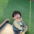 설악야구장 | [2024-33] 설악산 단풍놀이/ 켄싱턴호텔 설악/ 서서울호수공원/ 가정보육
