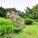 배내피트 이미지