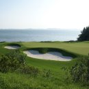 파인비치 이미지