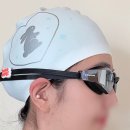 와이드비전 | 가나스윔 움파 루나비전 미러 수경 블랙 :: 수영 수린이 패킹 수경 입문템 추천 (+보라빛 렌즈의 영롱함 ✨)